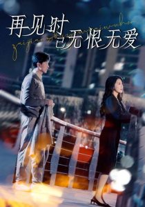 再见时已无恨无爱