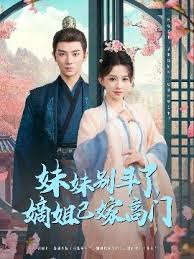 妹妹别斗了嫡姐已嫁高门