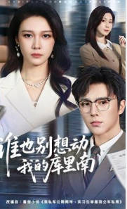 谁也别想动我的库里南