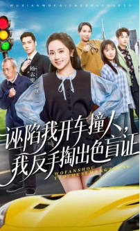 诬陷我开车撞人，我反手掏出色盲证