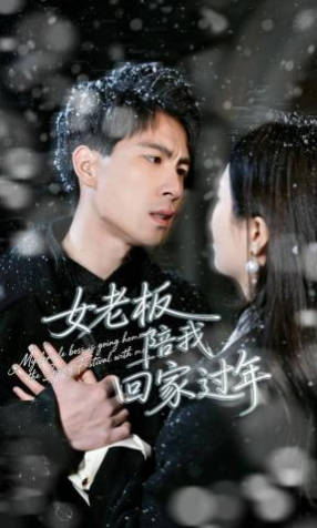 女老板陪我回家过年