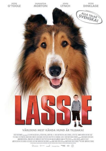 爱犬人士