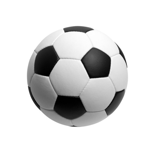 10月26日 26-27赛季德甲第7轮 弗赖堡VS拜仁慕尼黑